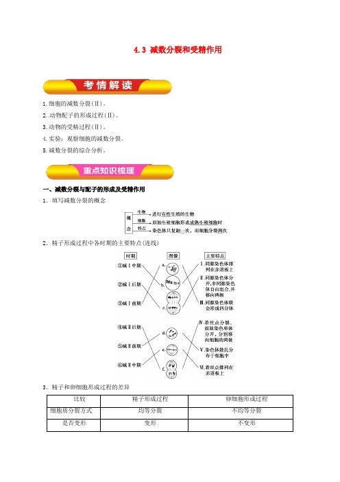 高考生物一轮复习 专题4.3 减数分裂和受精作用教学案(含解析)