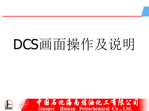 DCS操作说明 ppt课件