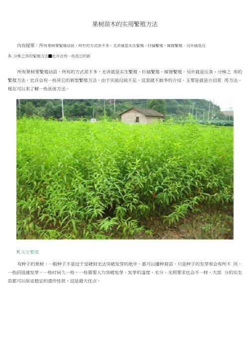 果树苗木的实用繁殖方法