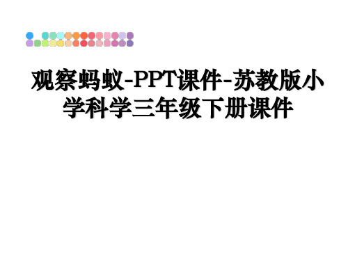 最新观察蚂蚁-PPT课件-苏教版小学科学三年级下册课件教学讲义PPT