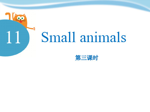 上海教育版三年级英语上册《Small animals》PPT课件(3篇)