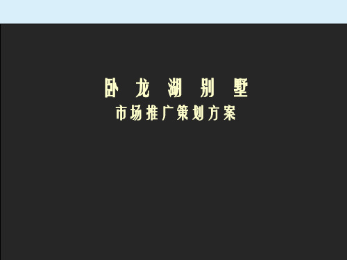 杭州卧龙湖别墅市场推广策划方案