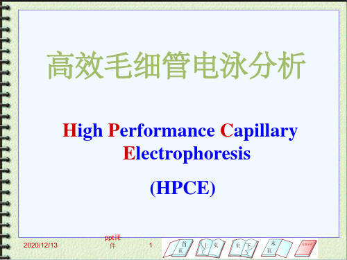 《毛细管电泳》PPT课件 (2)