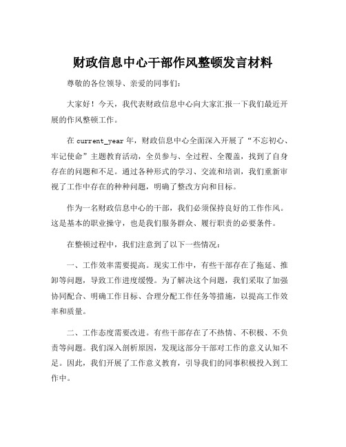 财政信息中心干部作风整顿发言材料