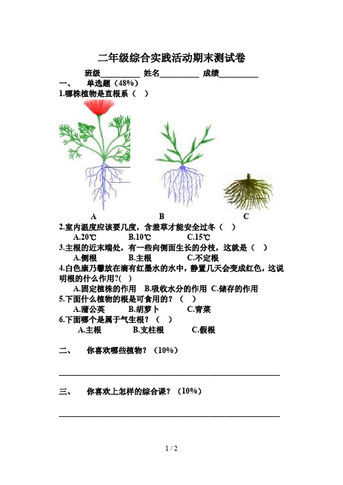 二年级综合实践活动期末测试卷