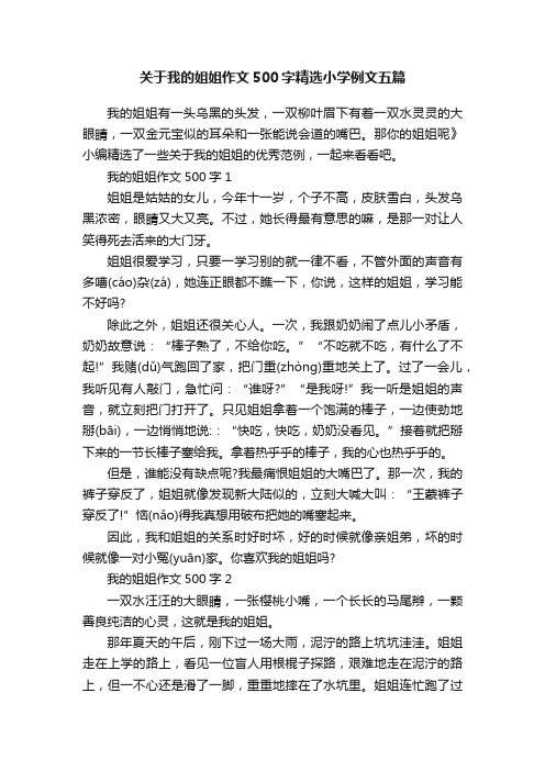 关于我的姐姐作文500字精选小学例文五篇