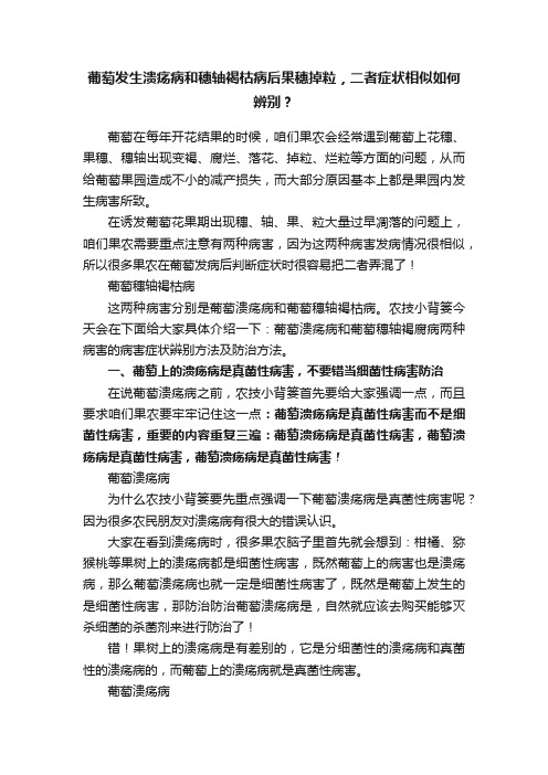 葡萄发生溃疡病和穗轴褐枯病后果穗掉粒，二者症状相似如何辨别？