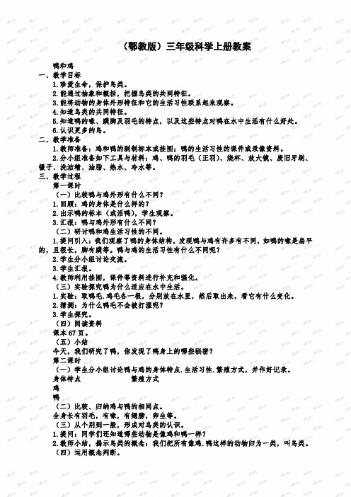 鄂教版小学科学三上《20鸭与鸡》word教案 1