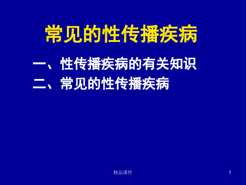 常见的性传染病PPT课件