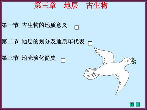 煤矿地质学1-3地层古生物A