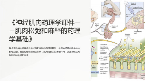 《神经肌肉药理学课件——肌肉松弛和麻醉的药理学基础》