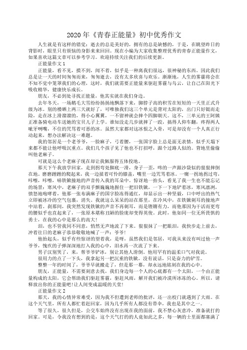 2020年《青春正能量》初中优秀作文