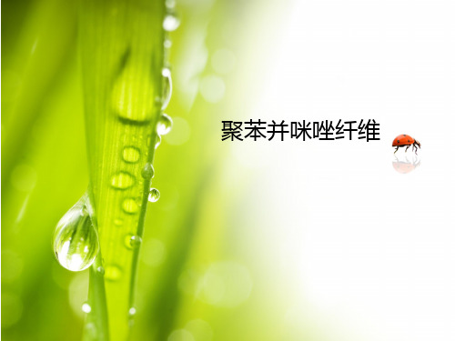 化学纤维概论-PBI