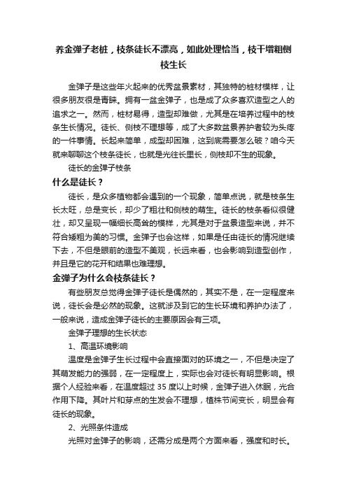 养金弹子老桩，枝条徒长不漂亮，如此处理恰当，枝干增粗侧枝生长