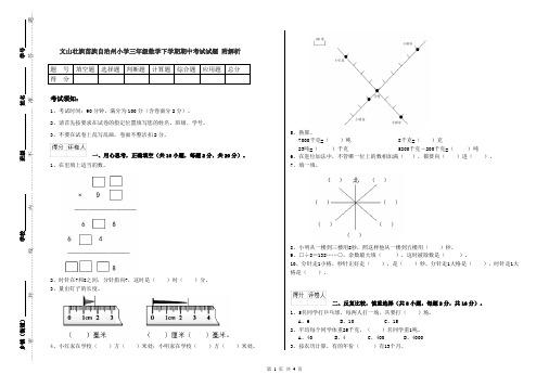 文山壮族苗族自治州小学三年级数学下学期期中考试试题 附解析