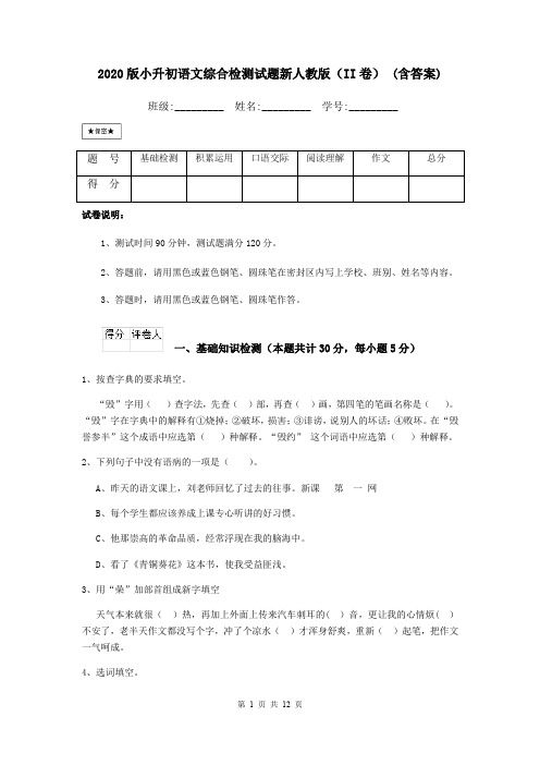 2020版小升初语文综合检测试题新人教版(II卷) (含答案)