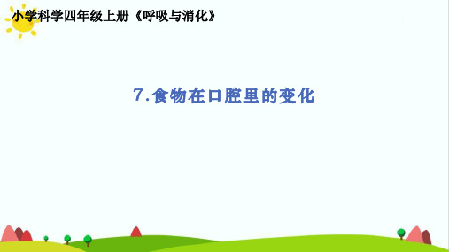 新教科版小学科学四年级上册《食物在口腔里的变化》教学课件ppt