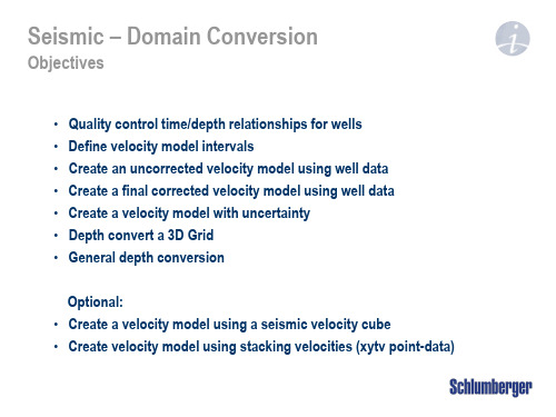 2019年-Petrel官方地震解释培训M7_Depth_Conversion-文档资料-PPT精选文档