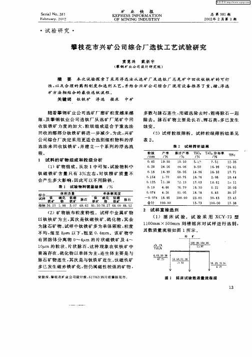 攀枝花市兴矿公司综合厂选钛工艺试验研究