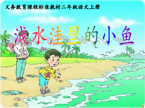 《浅水洼里的小鱼》课件