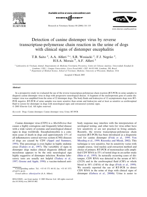 Detection of canine distemper virus by reverse transcriptase-polymerase chain reaction in the urine