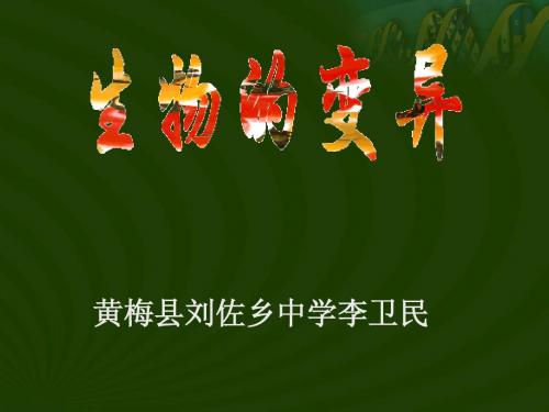 演示文稿3.ppt生物的变异