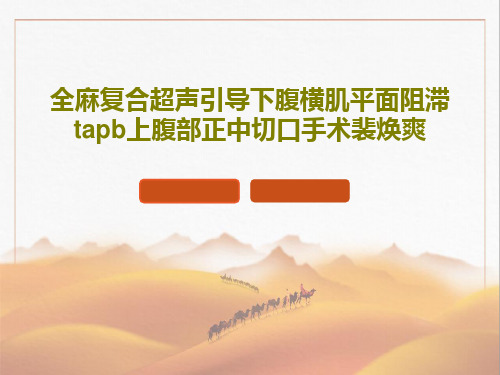 全麻复合超声引导下腹横肌平面阻滞tapb上腹部正中切口手术裴焕爽共41页文档