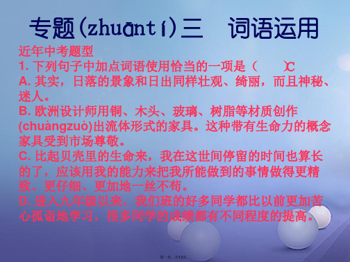 九年级语文上册专题复习专题三词语运用课件新人教版