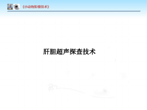 【小动物影像技术课件】肝胆的超声探查技术