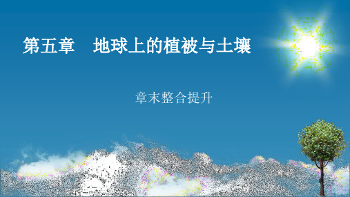 湘教版高中地理必修第1册 第五章 地球上的植被与土壤 章末整合提升5