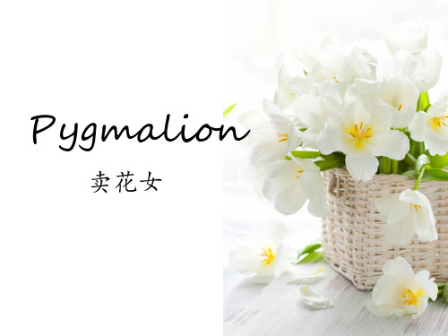 萧伯纳经典戏剧Pygmalion《卖花女》PPT汇编