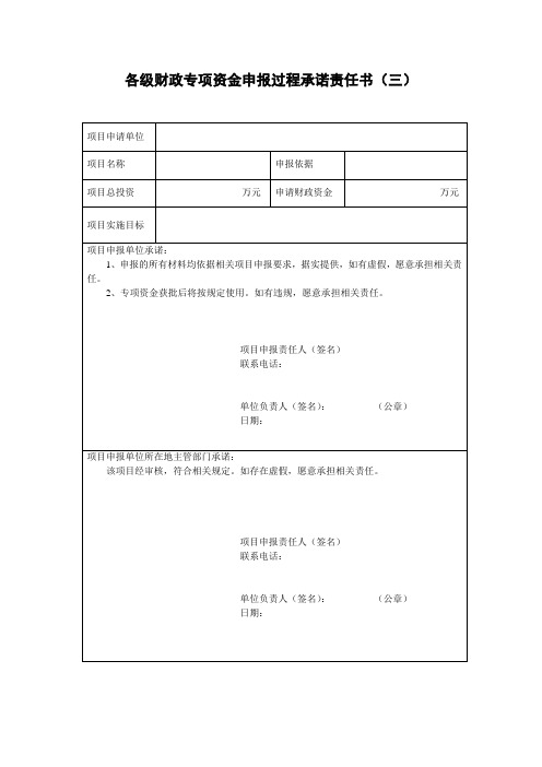 财政资金申请使用全过程承诺书