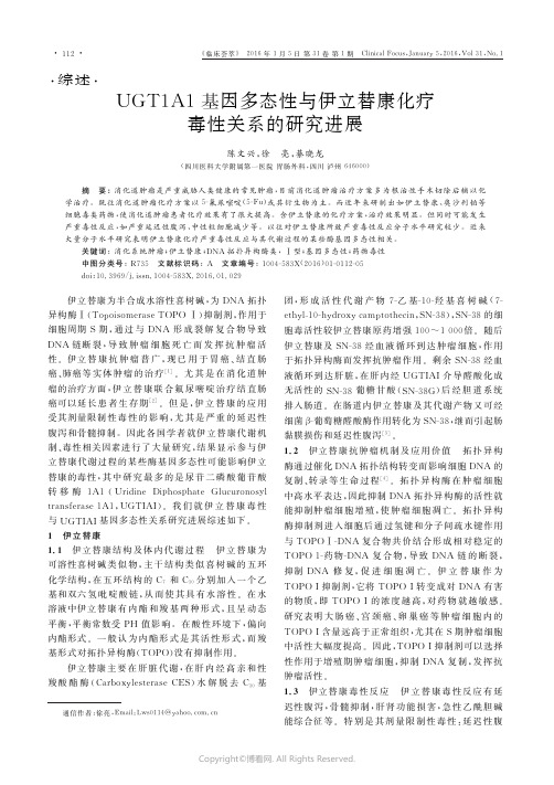 UGT1A1基因多态性与伊立替康化疗毒性关系的研究进展