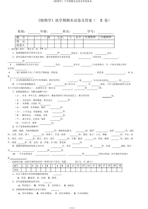 《植物学》下学期期末试卷及答案B卷