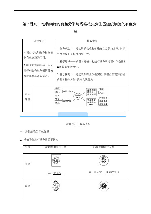 人教版高中生物同步学案 动物细胞的有丝分裂与观察根尖分生区组织细胞的有丝分裂