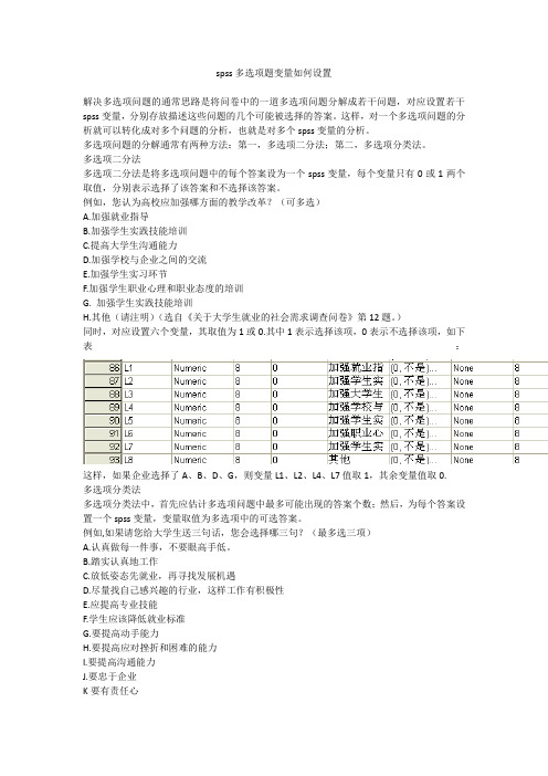 spss多选项题变量如何设置