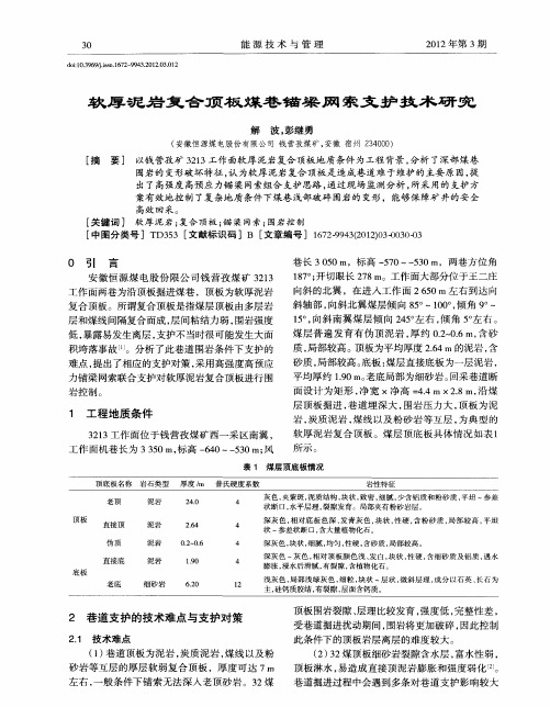 软厚泥岩复合顶板煤巷锚梁网索支护技术研究