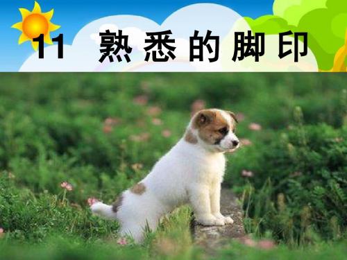11 熟悉的脚印