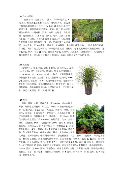 植物学实验3