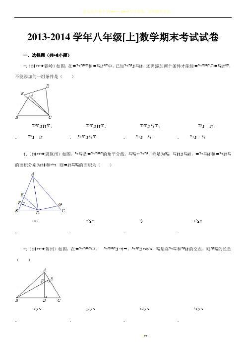 初二数学上册期末考试试卷及答案解析