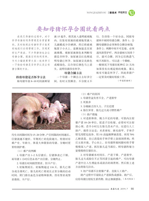 要知母猪怀孕合圈就看两点