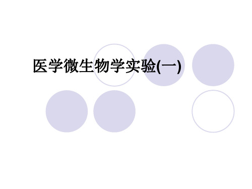 医学微生物学实验(一)课件