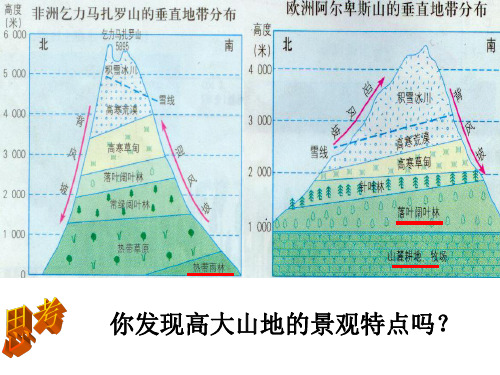 垂直地带性