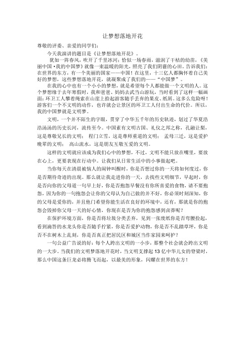 中国梦演讲稿:让梦想落地开花