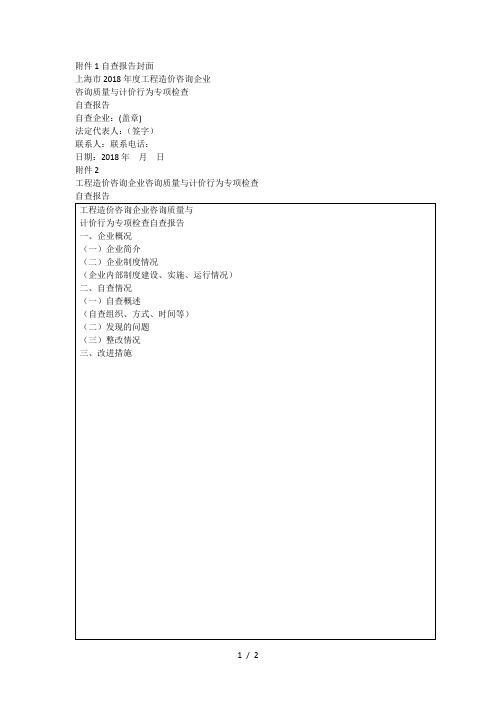 自查报告封面