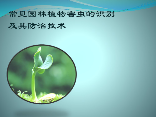 常见园林植物害虫极其防治措施