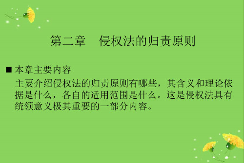 侵权责任法第二章