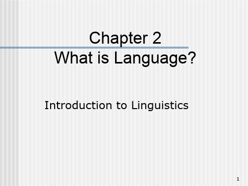 chapter 2 what is language 优质课件