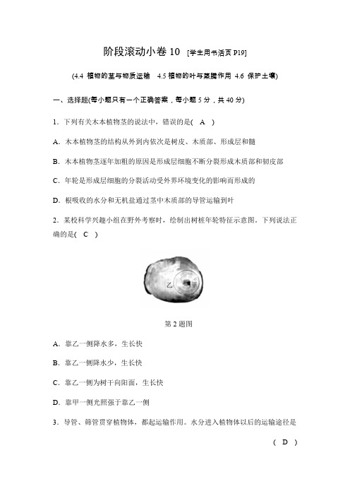 2020春浙教版八年级科学下册同步测试：阶段滚动小卷10