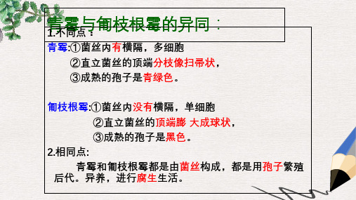 江苏省七年级生物下册 14.1生物的命名和分类课件(新版)苏科版